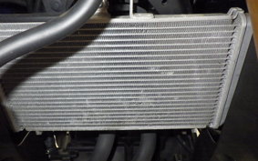 YAMAHA YZF-R25 2013 RG43J