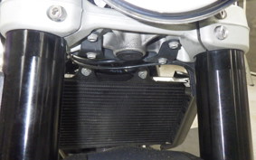 HUSQVARNA SVARTPILEN 401 2021