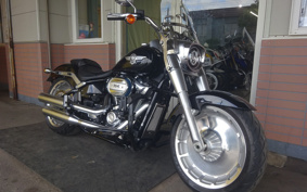 HARLEY FLFBS 2019 YGK