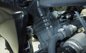 KAWASAKI Z250 2021 ER250C