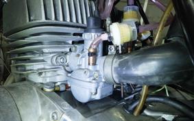 KAWASAKI 250SS 1973 S1F