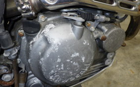 KAWASAKI SUPER SHERPA 2020 KL250G