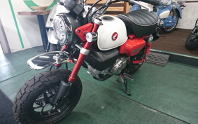 HONDA MONKEY 125 JB05