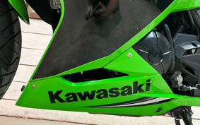KAWASAKI NINJA 250 ABS SE EX250L