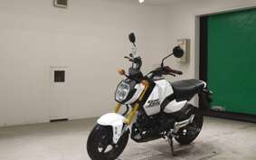 HONDA ｸﾞﾛﾑ-2