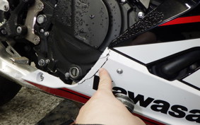 KAWASAKI NINJA 250 2 2019 EX250P