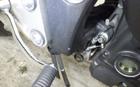 YAMAHA FZ1 FAZER 2012 RN21J