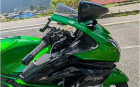 KAWASAKI NINJA ZX 14 R ABS 2020 ZXNF19