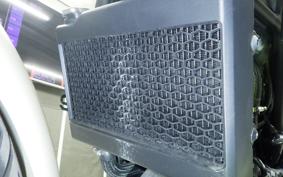HONDA REBEL 250 E-Clutch MC49