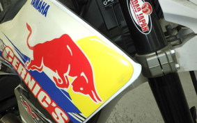 YAMAHA WR250X 2025 DG15J