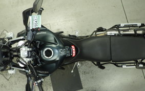 TRIUMPH TIGER 800 XC A 2019