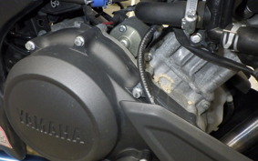 YAMAHA MT-15 2024