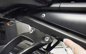 YAMAHA FZ1 FAZER 2013 RN21J