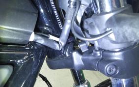 HARLEY RH975 2022