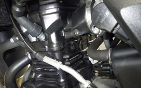 SUZUKI Vｽﾄﾛｰﾑ250 2002