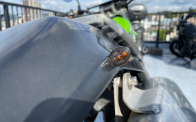 KAWASAKI SUPER SHERPA KL250G