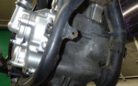 YAMAHA WR250X 2009 DG15J