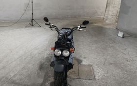 HONDA ZUMAR AF58