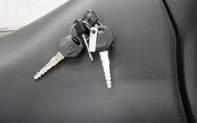 YAMAHA YZF-R25 RG43J