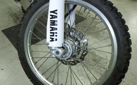 YAMAHA WR250R 2021 DG15J