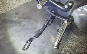 HARLEY XL883N 2015