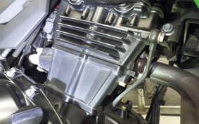 KAWASAKI VERSYS 250 A LE250D