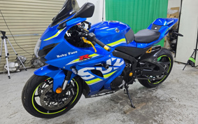 SUZUKI GSX-R1000R 2019 DM11A