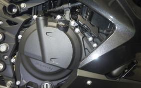 KAWASAKI NINJA 250 2021 EX250P