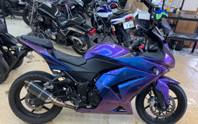 KAWASAKI NINJA 250R EX250K
