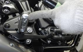 YAMAHA MT-07 2022 RM33J