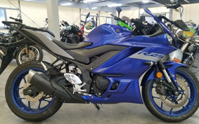 YAMAHA YZF-R25 RG43J