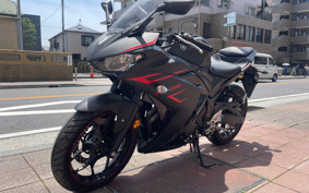 YAMAHA YZF-R25 RG10J
