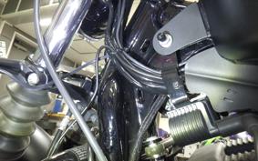 HARLEY XL883N 2020