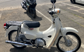 HONDA SUPER CUB110 JA44