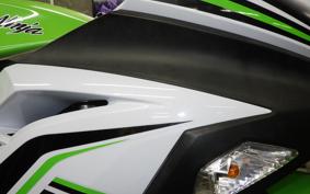 KAWASAKI NINJA 250 EX250L