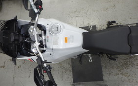 DUCATI DESSERT X 2024