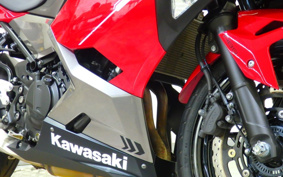 KAWASAKI NINJA 250 EX250P