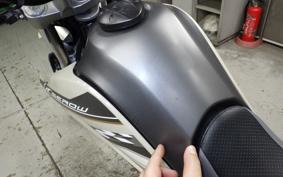 YAMAHA SEROW 250 Gen.2 2007 DG17J