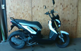 HONDA ZOOMER-X JF38