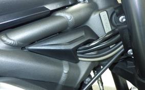 TRIUMPH STREET TRIPLE RS 2021