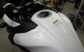 SUZUKI DL650 ( V-Strom 650 ) A 2021 C733A