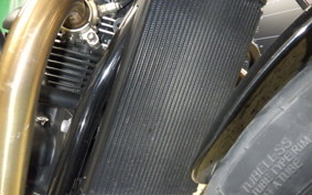TRIUMPH SPEED TWIN 900 2024