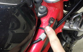 HONDA VTR 250 Gen. 2 2024 MC33