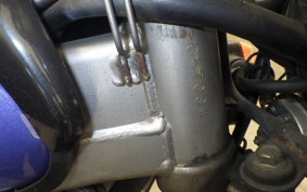 YAMAHA ZEAL 3YX