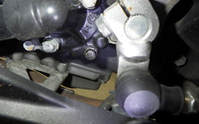 KAWASAKI NINJA 250 EX250L