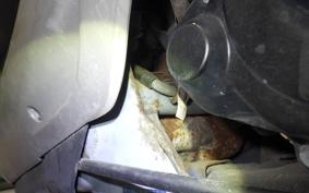 HONDA DIO GEN 2 2019 AF27