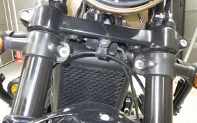HARLEY XG750 STREET ROD 2020