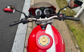 DUCATI MONSTAR S2R 1000 2008 ZDMM416AA8B