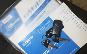 YAMAHA TRICITY 300 2021 SH15J