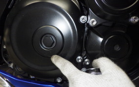 SUZUKI GSX-S 1000 2019